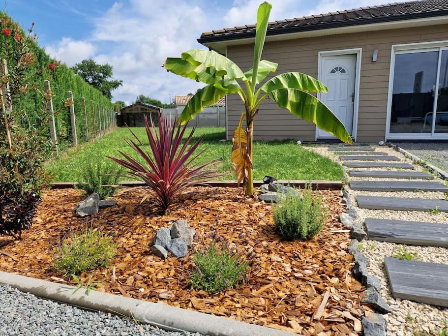 La Villa Des Pins Maison Standing 7 Pers Terre Et Mer Brach Kültér fotó
